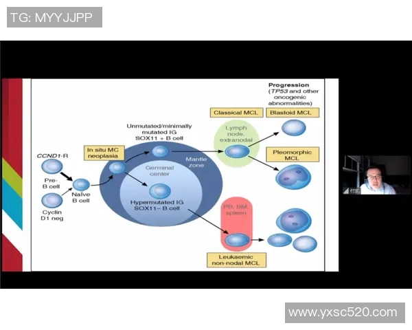武汉排球队的团队协作与战术配合分析探讨 武汉排球队的团队协作与战术配合分析探讨